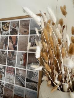 Cozy Botanic Garden Apartament - 5