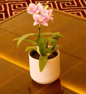 Garden Dahlia Hotel Apartment - Formerly Regency Dahlia - Farwaniya - Kuwait - 6