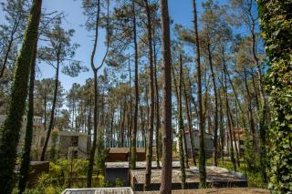 Magnetoria 3 BR House in pine forest - 3 mins to the sea - 8