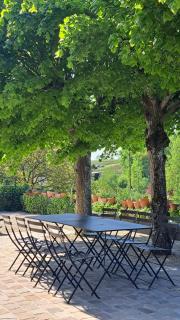 Élégante longère, piscine entre Tours et Amboise - 8
