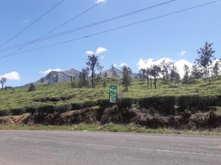 Cloud valley wayanad - 5