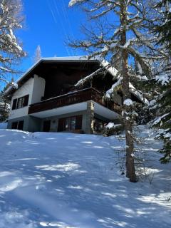 Mountainview Flattnitz - 9