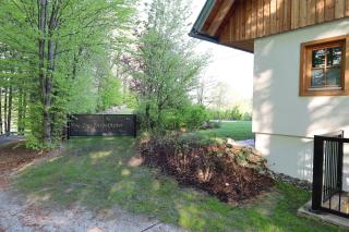 Der Distelfalter - 9