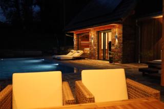 Der Distelfalter - 6