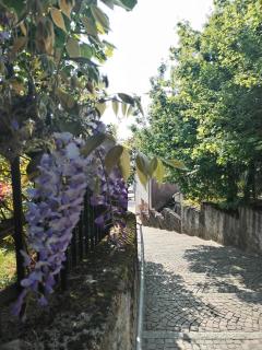 Lake's dream - Feriolo - 6