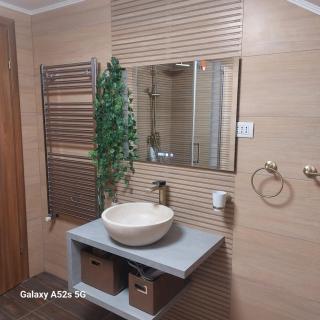 VASIESCU-Denis Gabriel - 6