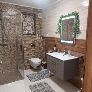 VASIESCU-Denis Gabriel - 3