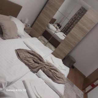 VASIESCU-Denis Gabriel - 1