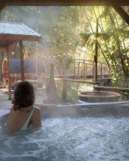 Rusty Bridge River Lodge - Hot tub - Fireplace - Firepit - 8
