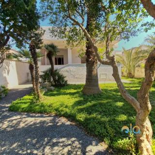 Villa Mirella sul mare - 9