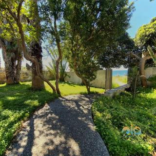 Villa Mirella sul mare - 6