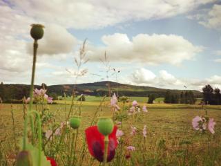 Ferienwohnung Beate Zierer - 5