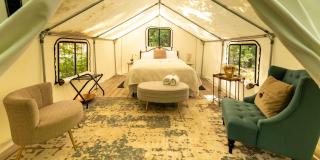 Naturluxe & Stars - 8