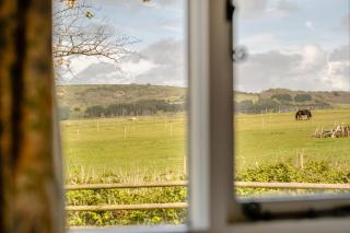 2 Bed in Newchurch oc-ic127 - 8