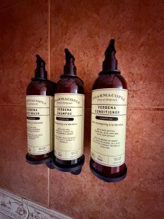 Casa Alemana Rudloff Valdivia - 2