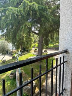 El Cerro del Pinar - 7