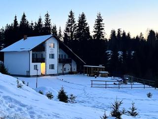 Casa Bradut - 6