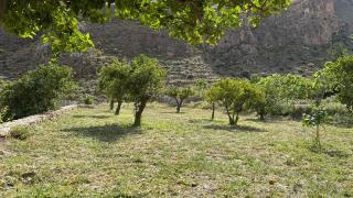 Cortijo rural la alberca - 1