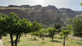 Cortijo rural la alberca - 2