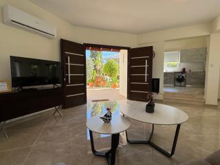 Beach Villa Sofia - Neo Chorio - 4