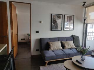 5-Guest Apt Providencia Heart of City - 4