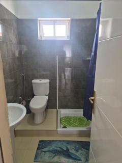Location appartement T1 sal rei "ka valda" - 1