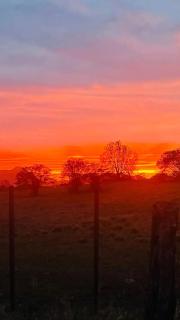 Bungalow avec piscine privée à Sainte-Luce - 5