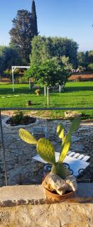 Ostuni Trullo di Charme with pool - 3