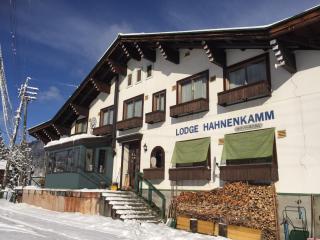 Lodge Hahnenkamm - Nozawa Onsen - 9