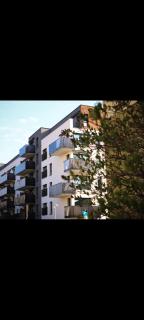 TIO Apartament - 5