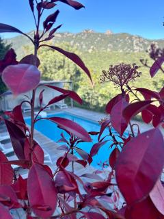 Hôtel Villa Les Orangers - 6