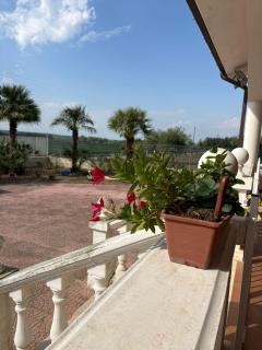 Il rifugio di Pirro - 2