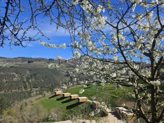 Cabanas do Navia - 0