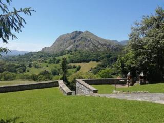Escuelas de collía C AT-1537-AS - 8