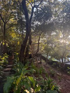 Garden Treehouse Ikhaya - 6