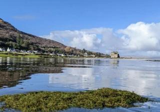Lochranza Country Inn - 3