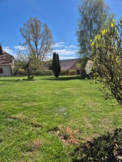 Studio Les Sapins - 1