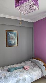 Mermaid house - 6