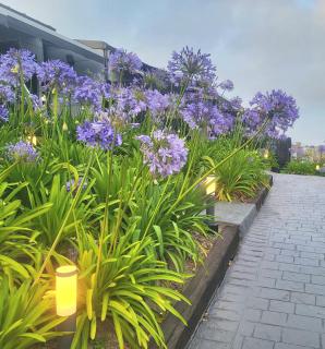 Apartamentos Las Terrazas de Suances - 9