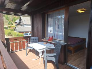 Gemütliche Ferienwohnung in Sankt Blasien - 6