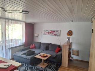 Gemütliche Ferienwohnung in Sankt Blasien - 6