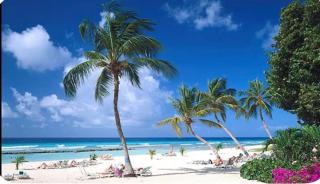 The Claraville Apartments - 4