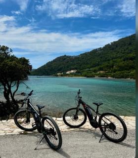 Polly Apartments with swimming pool - 8