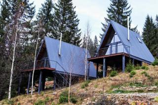 Forest Huts - 1