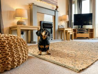 Beautiful Lodge Retreat - 3 Bedrooms - Sleeps 6 - 7