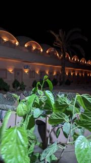 Nour El wadi - 4
