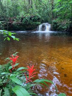 Pousada Alpes Presidente Figueiredo - 4