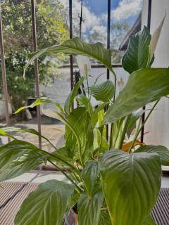 Home theater, relaxation, ideal for home office - 2