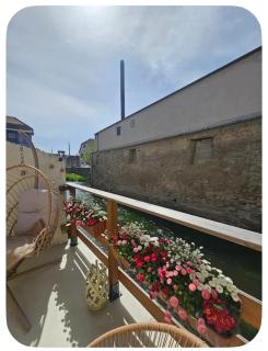 L'Atypique des Remparts - 4