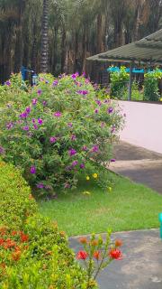 Pousada Alpes Presidente Figueiredo - 7